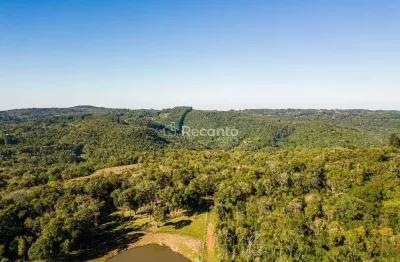 Fazenda à venda na Estrada Das Acácias, x, Centro, Três Coroas