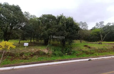 Fazenda à venda na Estrada Linha Marcondes, 00, Marcondes, Gramado