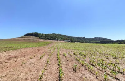 Fazenda à venda na Estrada Linha Tapera, 00, Marcondes, Gramado