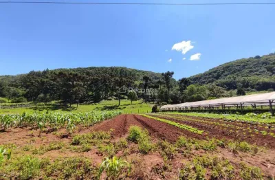 Fazenda à venda na Estrada Linha ávila, X, Linha Ávila, Gramado