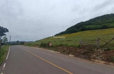 Fazenda à venda na Linha Avila, Linha Ávila, Gramado