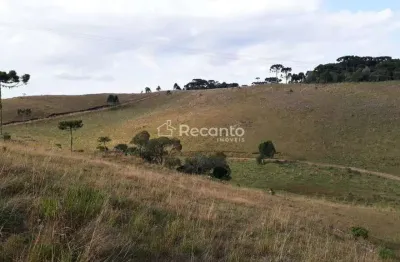 Fazenda à venda na Localizado A 11km Do Lajeado Grande Em São Francisco De Paula, Centro, São Francisco de Paula