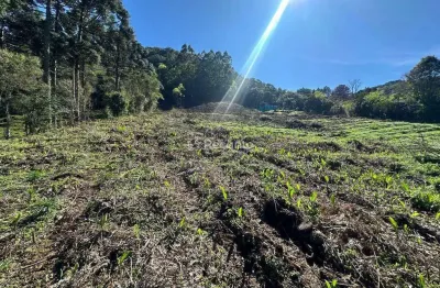 Fazenda à venda na Estrada Da Furna, Linha Furna, Gramado
