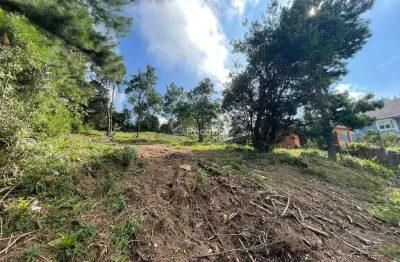 Terreno à venda na Avenida Roma, 238, Morada da Serra, Gramado