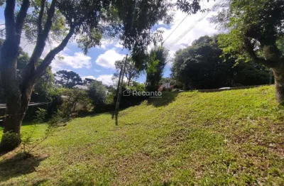 Terreno à venda na R. Dona Francisco, 177, Carniel, Gramado