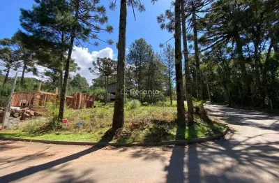 Terreno à venda na Rua Vereador Theodoro Michaelsen, 1306, Moura, Gramado