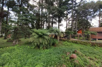 Terreno comercial à venda na R. Helmath Schmitt, 00, Vila Suica, Canela