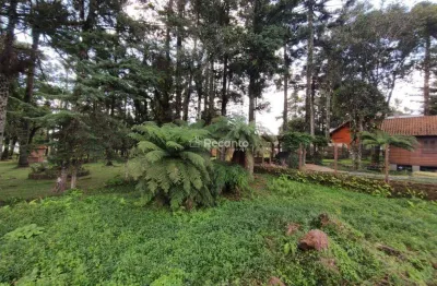 Terreno comercial à venda na R. Helmath Schmitt, 00, Vila Suica, Canela