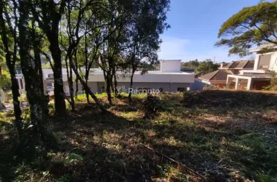 Terreno à venda na Carniel, Vivendas do Arvoredo, Gramado