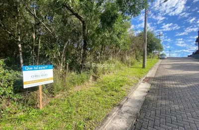 Terreno à venda na Carniel, Vivendas do Arvoredo, Gramado