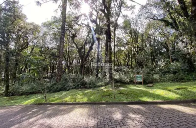 Terreno à venda na Rua José Pedro Piva, Parque Pinheiro Grosso, Canela