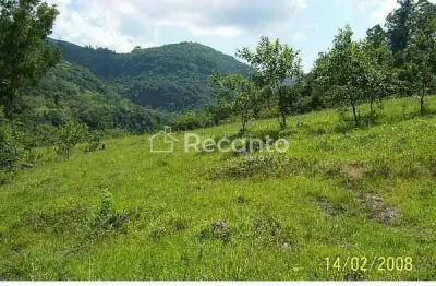 Fazenda à venda na Estrada Velha Do Moreira, Zona Rural, Gramado