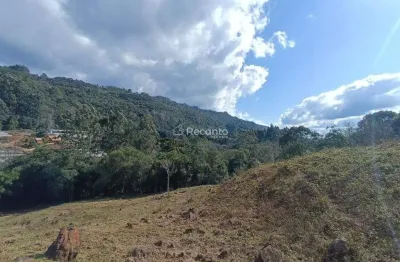 Fazenda à venda na Linha Avila Baixa, Linha Ávila, Gramado