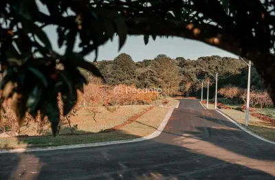 Terreno à venda na Rua Antônio Beneti Sobrinho, Mato Queimado, Gramado
