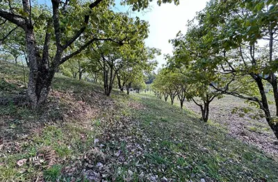 Terreno à venda na Rua Antônio Beneti Sobrinho, Mato Queimado, Gramado