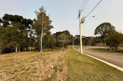 Terreno à venda na Rua Antônio Beneti Sobrinho, Mato Queimado, Gramado