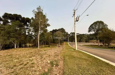 Terreno à venda na Rua Antônio Beneti Sobrinho, Mato Queimado, Gramado