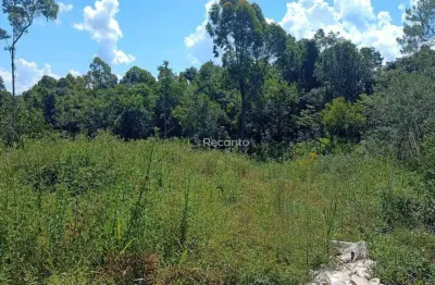 Fazenda à venda na Estrada Da Linha Avila Baixa, Zona Rural, Gramado