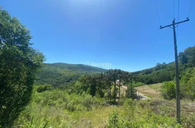 Fazenda à venda na Estrada Da Linha ÁVila, Linha Ávila, Gramado