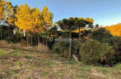 Apartamento à venda na Rua São Francisco, 00, São Bernardo, São Francisco de Paula
