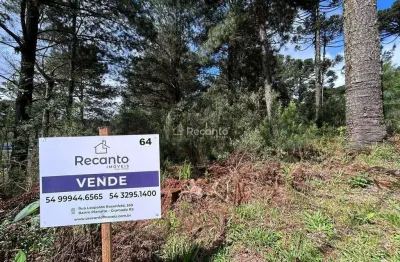 Terreno à venda na Rua Vereador Theodoro Michaelsen, 1306, Moura, Gramado