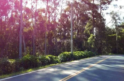 Terreno comercial à venda na Rua Antônio Beneti Sobrinho, Mato Queimado, Gramado