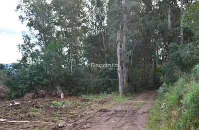 Chácara / sítio à venda na Estrada Linha Bonita, Mato Queimado, Gramado