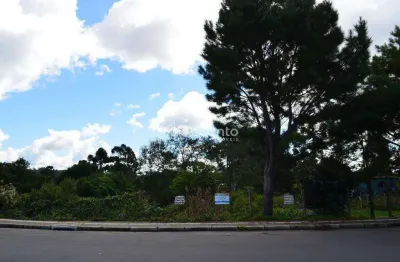 Terreno à venda, 4016 m² por r$ 2.400.000,00 - vila  boeira - canela/rs