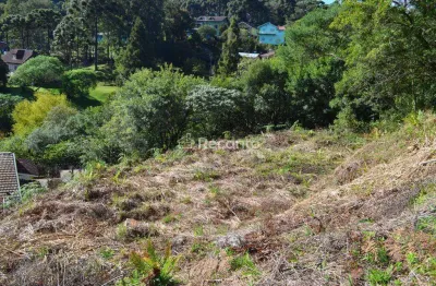 Terreno à venda na Rua Aurelio Broilo, Pórtico, Gramado