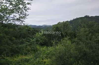 Sítio à venda, 88634 m² por r$ 1.475.000,00 - linha furna - gramado/rs