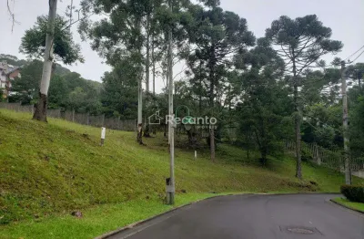 Terreno em condomínio fechado à venda na Rua Prefeito Waldemar Frederico Weber, 1815, Vale do Bosque, Gramado
