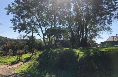 Terreno à venda, 1000 m² por - vila do cedro - canela/rs