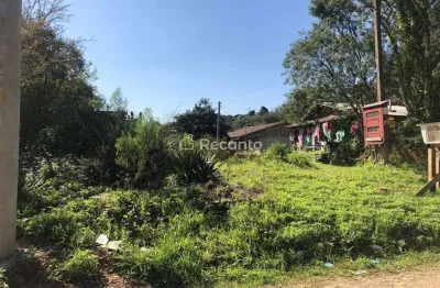 Terreno à venda, 1000 m²  - vila do cedro - canela/rs