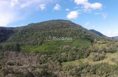 Área à venda, 450000 m² por r$ 8.000.000,00 - várzea grande - gramado/rs