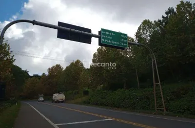 Área à venda, 20000 m² por r$ 8.000.000,00 - várzea grande - gramado/rs