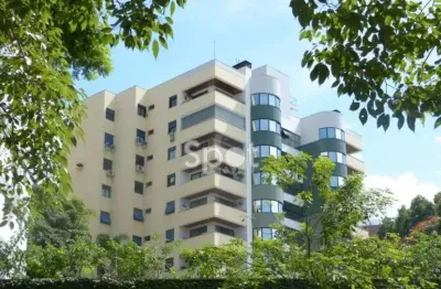 Rua tranquila e arborizada - prédio moderno com lazer!