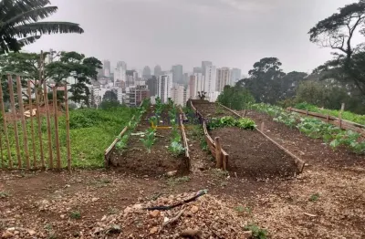Terreno com projeto aprovado para comércio em avenida de grande movimento.