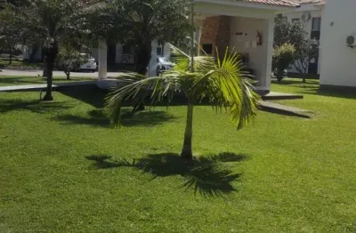 Apartamento 2 dormitórios - canasvieiras - florianópolis / sc