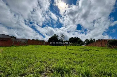 Terreno à venda, 1000 m² por r$ 220.000,00 - califórnia 2 - botucatu/sp