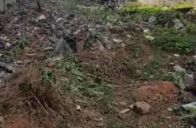 Terreno à venda na nivaldo romero, 173, jardim rizzo, guarulhos por r$ 550.000