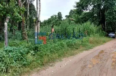 Terreno à venda no Boracéia, São Sebastião 