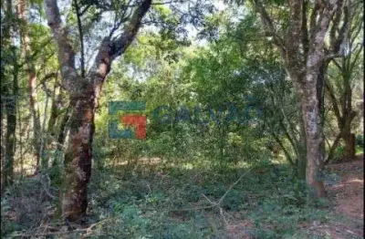 Chácara / sítio à venda no Pitangal, Jarinu 