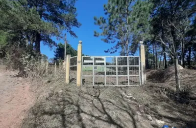 Galpão para locação no bairro pau arcado em campo limpo paulista - sp