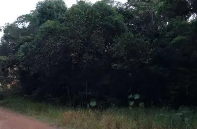 Terreno em condomínio para venda em atibaia, condomínio bosque dos eucalíptos