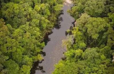 Terreno à venda na do rio grande, 8000, taiacupeba, mogi das cruzes por r$ 4.000.000
