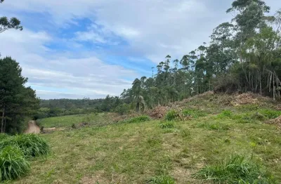 Terreno comercial à venda na maria isabel da conceição, morro da borússia, osório por r$ 449.500