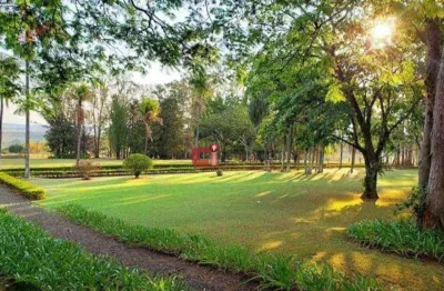 Terreno à venda, 250 m² por r$ 235.000,00 - colina do castelo - jaguariúna/sp