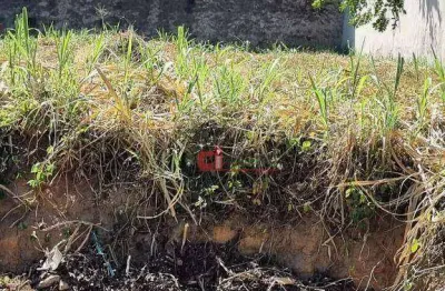 Terreno à venda, 253 m² por r$ 250.000 - nova jaguariúna iii - jaguariúna/sp