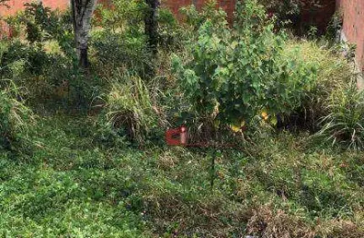 Terreno à venda, 300 m² por r$ 250.000 - nova jaguariúna - jaguariúna/sp