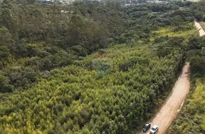 Terreno à venda na Estrada do Oura, 1, Ipelândia, Suzano